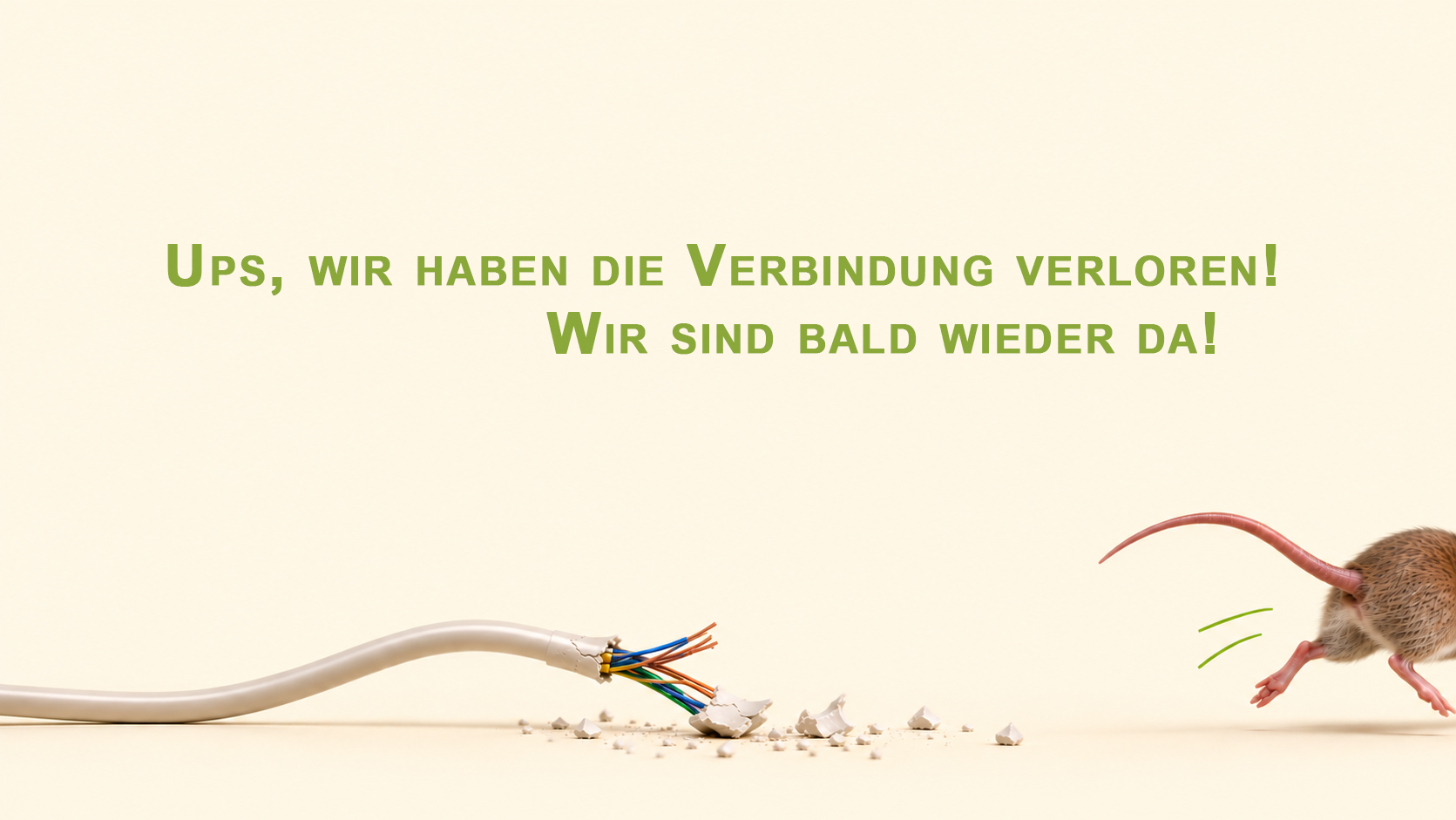 Sibeli ist bald wieder da